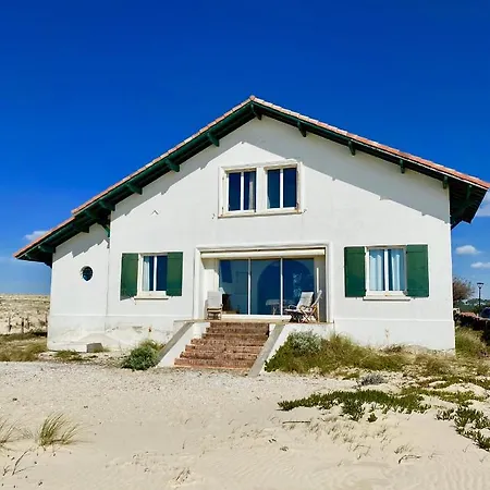 Chaleureuse Sur La Dune